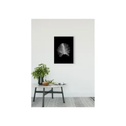 KomarWandbild Feather Black 50x70 cm