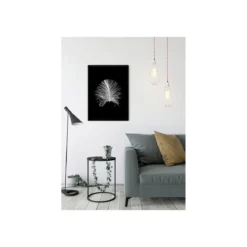 KomarWandbild Feather Black 50x70 cm