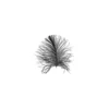 KomarWandbild Feather White 50x70 cm