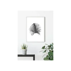 KomarWandbild Feather White 50x70 cm