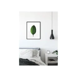 KomarWandbild Ficus Leaf 50x70 cm