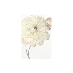 KomarWandbild Illustration Dahlia 50x70 cm