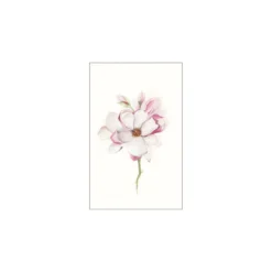 KomarWandbild Magnolia Blossom 50x70 cm