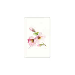 KomarWandbild Magnolia Breathe 40x50 cm