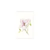 KomarWandbild Magnolia Shine 40x50 cm