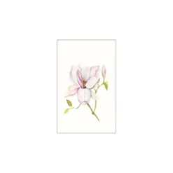 KomarWandbild Magnolia Shine 40x50 cm