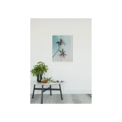 KomarWandbild Miami Palms 50x70 cm