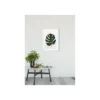 KomarWandbild Monstera Leaf 50x70 cm