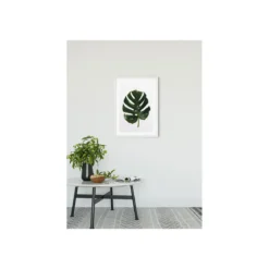 KomarWandbild Monstera Leaf 50x70 cm