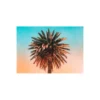 KomarWandbild Palm Tree 70x50 cm