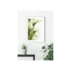 KomarWandbild Reed Leaves- 50x70 cm