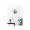 KomarWandbild Rose 50x70 cm