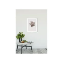 KomarWandbild Rose 50x70 cm
