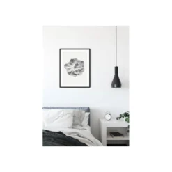 KomarWandbild Succulent Aeonium 50x70 cm