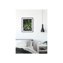 KomarWandbild Succulent Single 40x50 cm