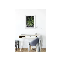 KomarWandbild Succulent Single 40x50 cm
