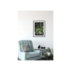 KomarWandbild Succulent Single 40x50 cm