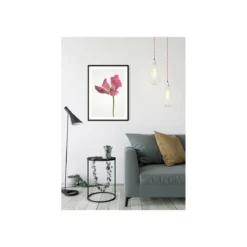 KomarWandbild Tulip 50x70 cm