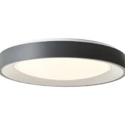LED-Deckenleuchte Florella 48,5 x 8,5 cm inkl RGB-Funktion
