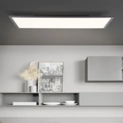 LED-Deckenleuchte Jacinda schwarz 80 x 40 cm
