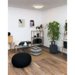 LED-Deckenleuchte Shining Coral 24W