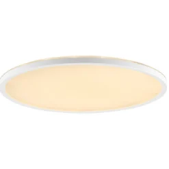 LED DL Avola 42cm 22W ws 3000lmCCT dimmbar Nachtlicht Timer FB