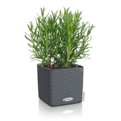 Pflanzkübel Cube Color Komplettset 14 cm schiefergrau