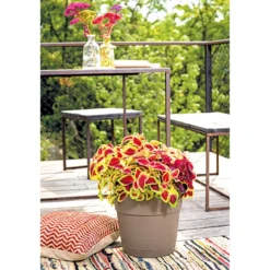 Pflanztopf Vaso Save R 29 cm camel