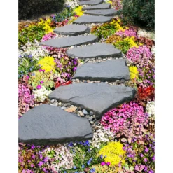 PlantiflorBodendecker-Stauden Pflasta la Vista Topf 13 cm