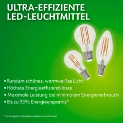 Retro LED Birne EEK A E27E27 60W 806lm 2700K