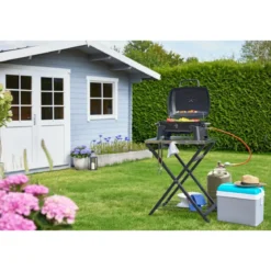 Rothmann Gasgrill Phoenix