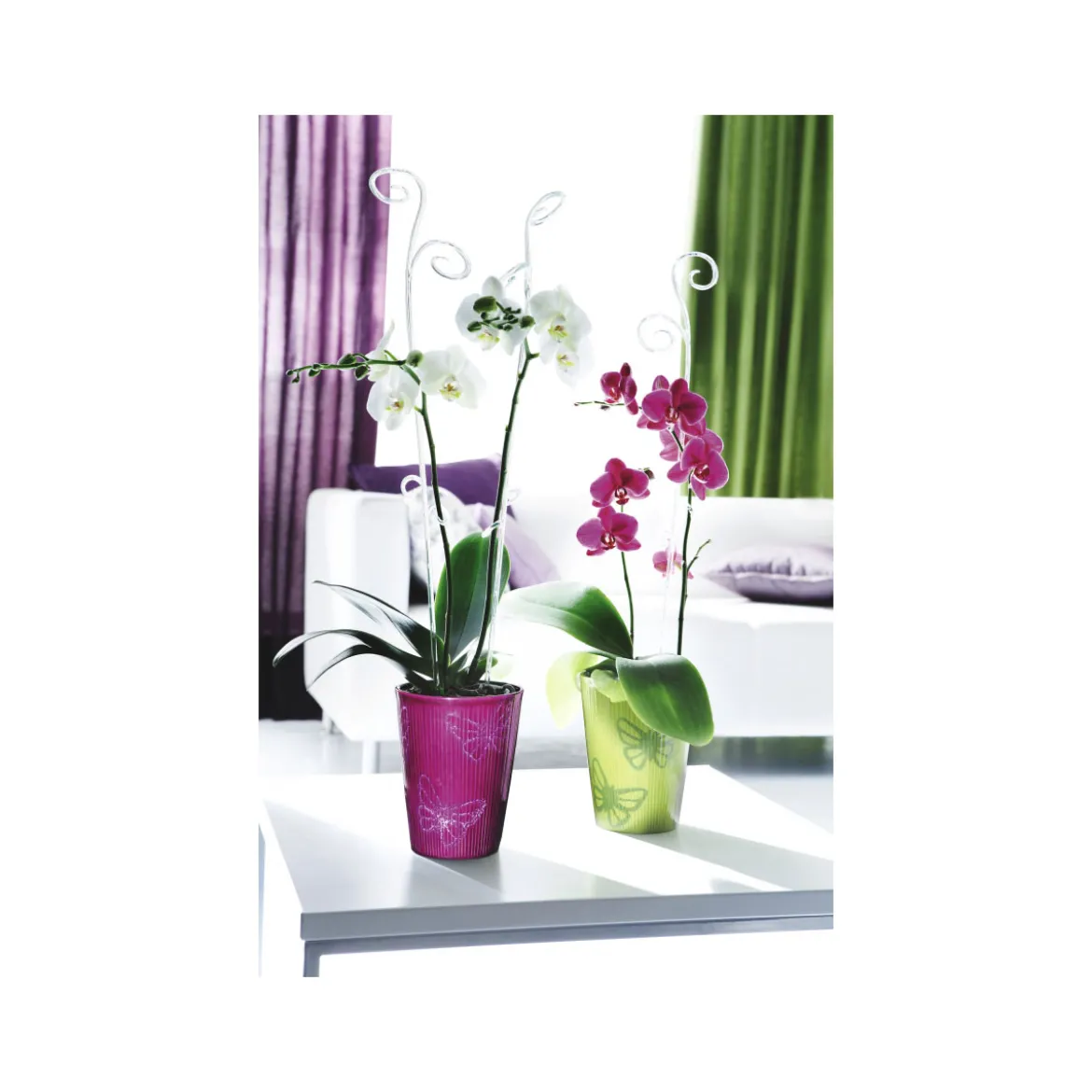 Scheurich Orchideenstab