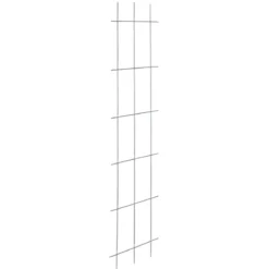 Spalier 3-strebig