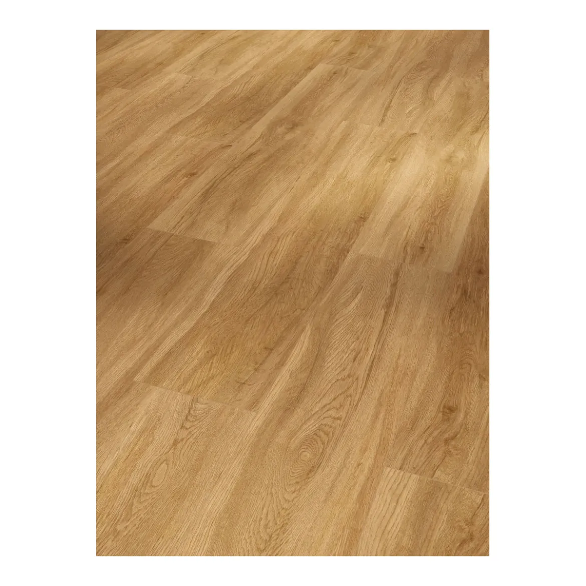 SPC Vinyl Basic Eiche Sierra Natur1209x225x5,3 mm geb. Stuktur LHD gefast