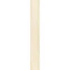 Specht Ambiente Paneel 10mm Birke hell
