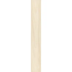 Specht Ambiente Paneel 10mm Birke hell