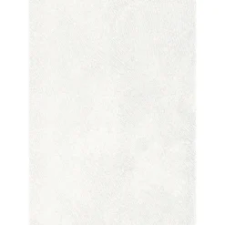 Specht Ambiente Paneel 10mm weiß Struktur
