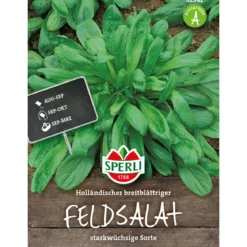 Sperli Feldsalat Holländischer breitblättriger