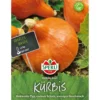 Sperli Kürbis Uchiki Kuri