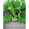 Sperli Schnittlauch Staro