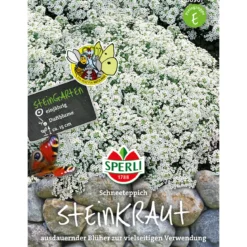 Sperli Steinkraut ngs Schneeteppich