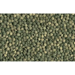 Tetra Fischfutter Pleco Tablets 58 Tabletten