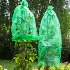 Toma.-Folienh. MITW. 1,2x0,65m 5Stk.