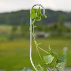 Tomatenspiralstab m. Haken 180cm