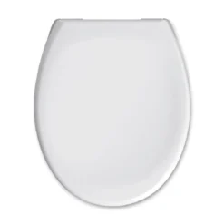 Valblue WC-Sitz Pebble Duroplast