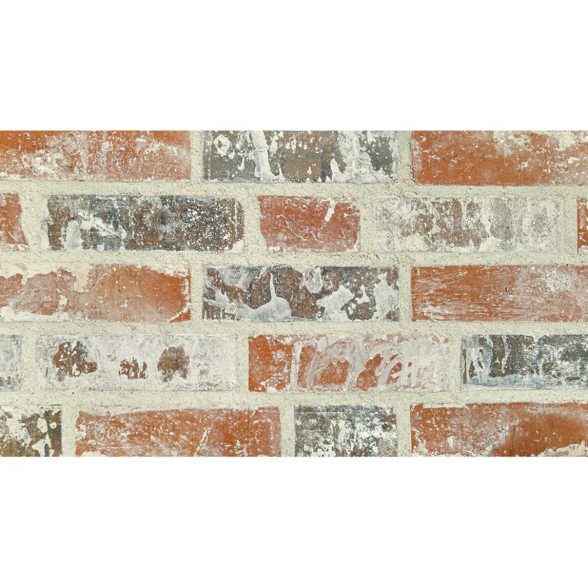 Verblender Vintage Toronto 24 x 7,1 x 1,5 cm