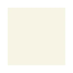 Vincent Wand- und Deckenfarbe Creamy matt 5 L