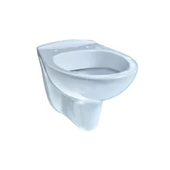 Wand-WC Tiefspueler Keramik mit Spuel-rand passend f. gaenige UP-Spuelkaesten