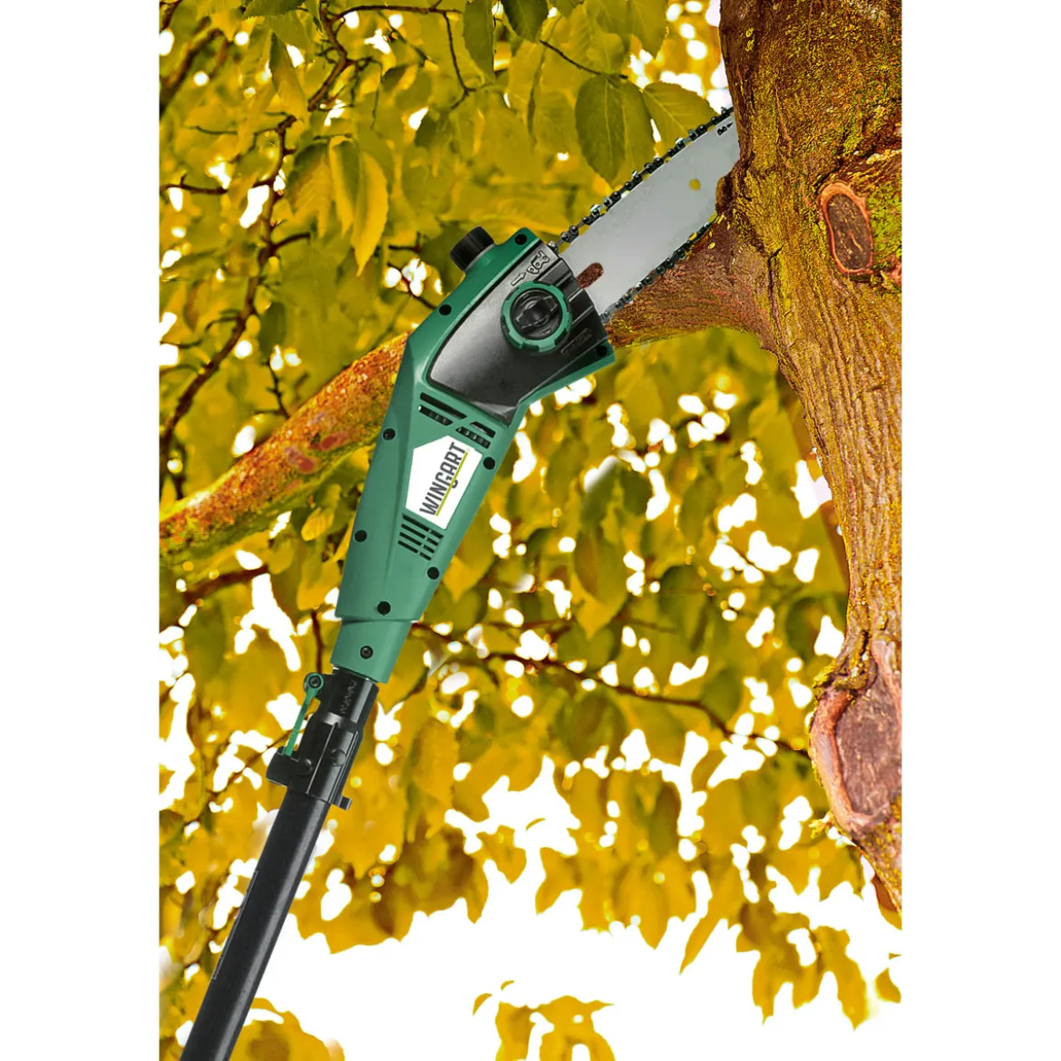Wingart Elektro-Hochentaster WTKS 750